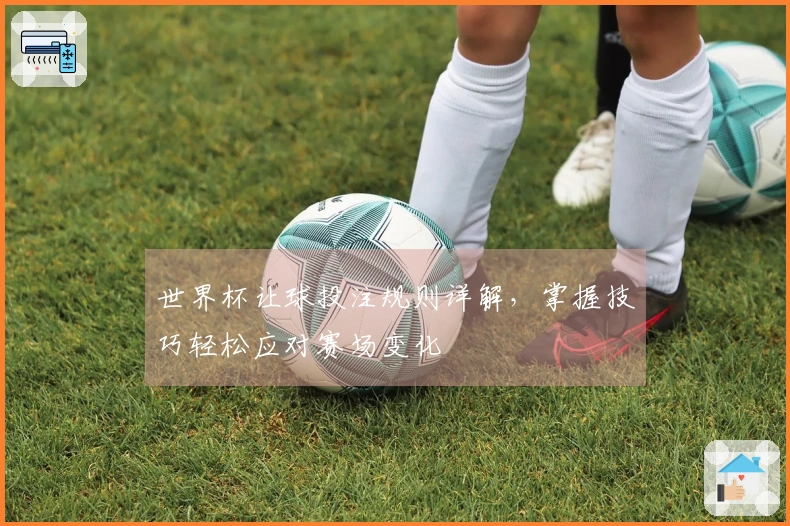 世界杯让球投注规则详解，掌握技巧轻松应对赛场变化