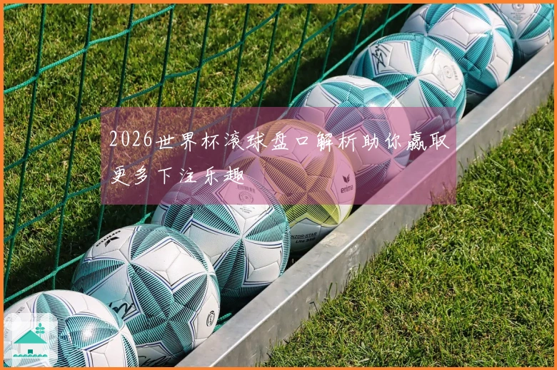 2026世界杯滚球盘口解析助你赢取更多下注乐趣