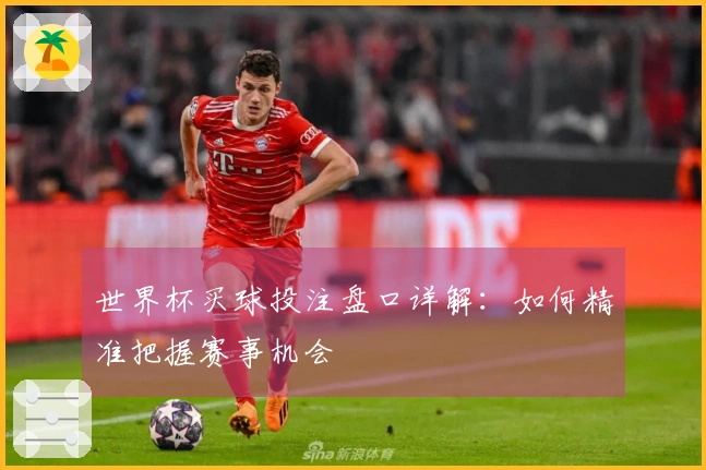 世界杯买球投注盘口详解：如何精准把握赛事机会