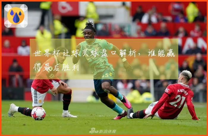 世界杯让球买球盘口解析，谁能赢得最后胜利