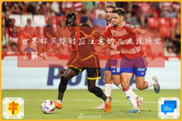 世界杯买球时应注意的几大技巧你了解吗