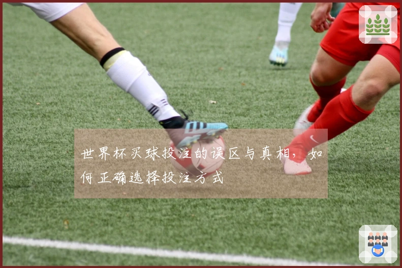 世界杯买球投注的误区与真相，如何正确选择投注方式