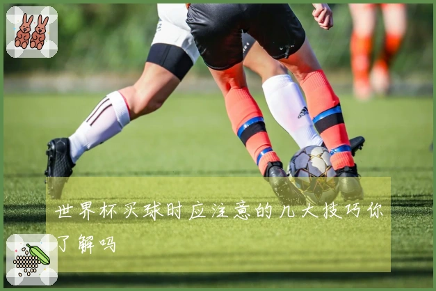 世界杯买球时应注意的几大技巧你了解吗