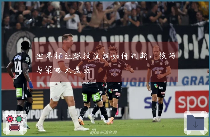 世界杯让球投注该如何判断，技巧与策略大盘点