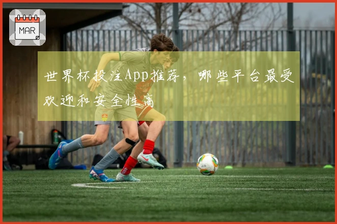世界杯投注App推荐，哪些平台最受欢迎和安全性高