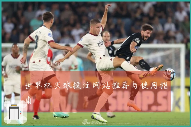 世界杯买球投注网站推荐与使用指南
