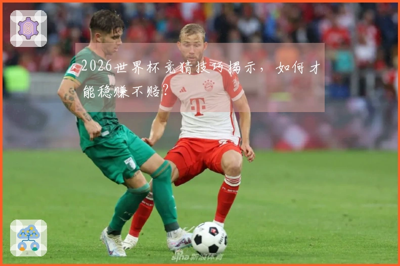 2026世界杯竞猜技巧揭示，如何才能稳赚不赔？
