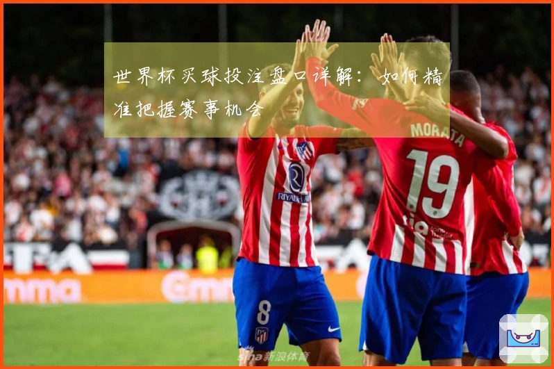 世界杯买球投注盘口详解：如何精准把握赛事机会