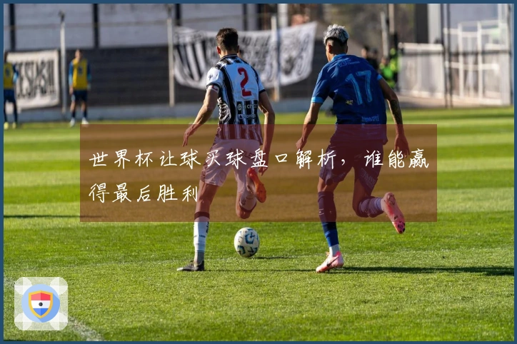 世界杯让球买球盘口解析，谁能赢得最后胜利
