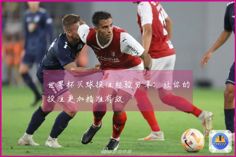 世界杯买球投注经验分享：让你的投注更加精准有效