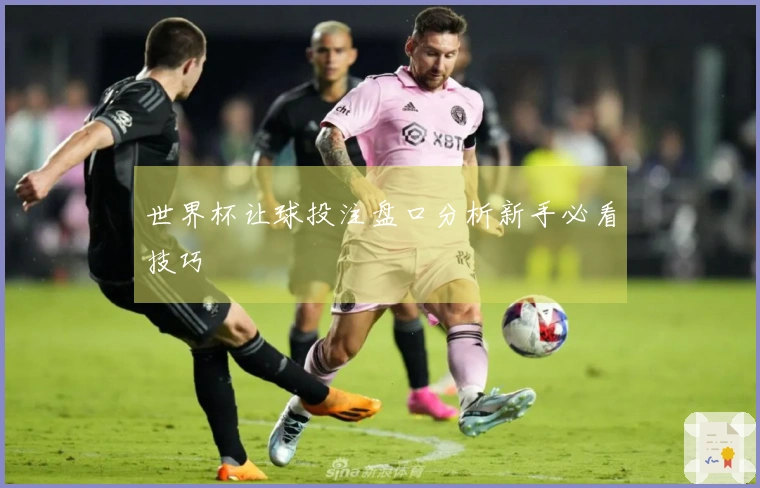 世界杯让球投注盘口分析新手必看技巧