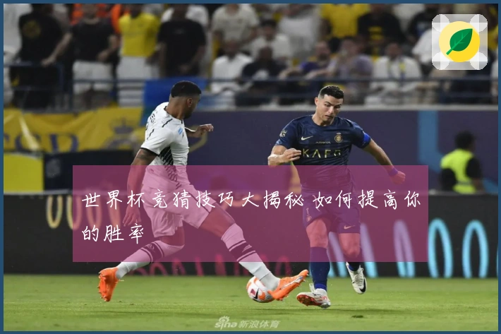 世界杯竞猜技巧大揭秘 如何提高你的胜率