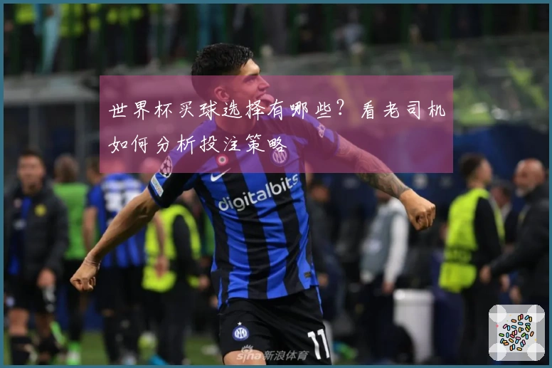 世界杯买球选择有哪些？看老司机如何分析投注策略