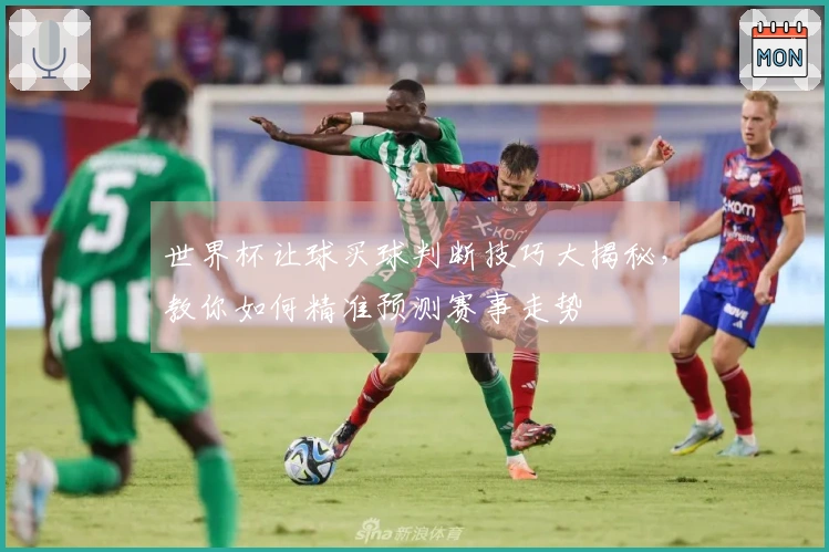 世界杯让球买球判断技巧大揭秘,教你如何精准预测赛事走势