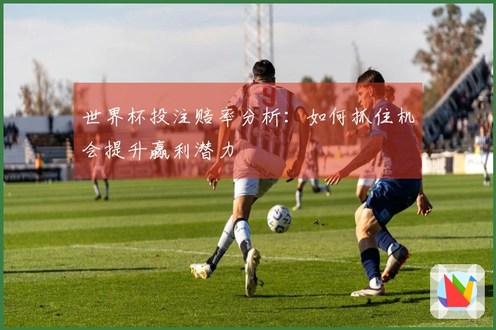 世界杯投注赔率分析：如何抓住机会提升赢利潜力