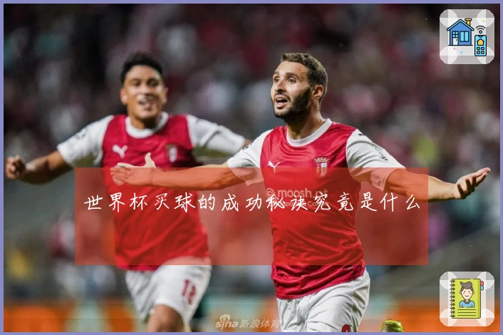世界杯买球的成功秘诀究竟是什么