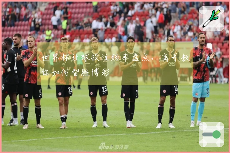 世界杯让球投注赔率盘点，高手教你如何智胜博彩