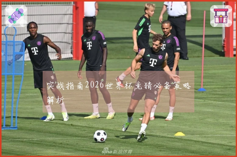 实战指南2026世界杯竞猜必备策略解析